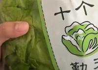 十個勤天原價4 9圓生菜被炒到300元 有些粉絲為了搶購生菜早早地起床趕來排隊