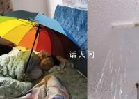 廣東回南天孩子淡定撐傘睡覺 網友：這就是回南天