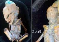 “形似外星人”的木乃伊曝光 具有哺乳動物的特征