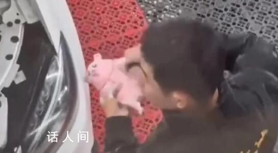 女子洗車竟被店員洗公仔擦鞋 提供的額外服務