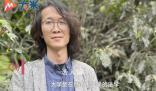 男子因社恐40歲才找到合適的工作 內向標簽沒有撕掉
