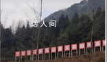 公園把樹挖了搞植樹節?不實