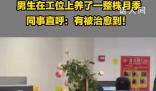 男生在工位上養了一整株月季 同事：有被治愈到