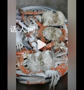 男子服務(wù)區(qū)被套路買30箱空殼螃蟹 妻子：只能煮熟曬干喂雞