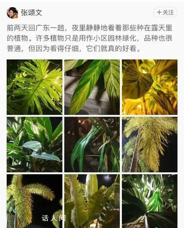 雷軍回復(fù)張頌文 你喜歡哪種顏色?