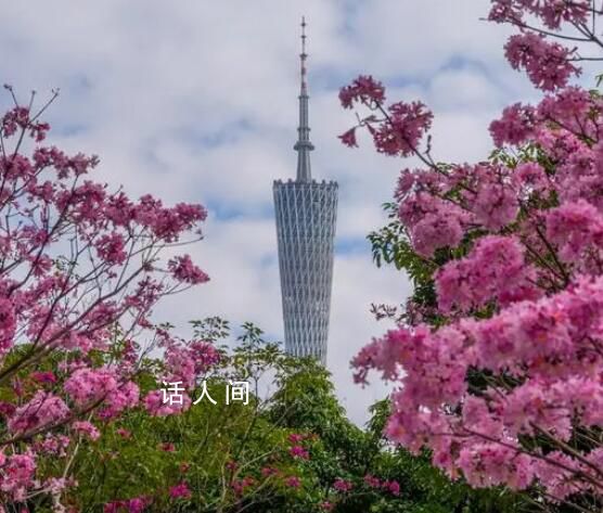 廣州塔為何總被閃電擊中 總是遭遇雷擊廣州塔周圍安全嗎？