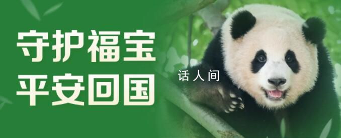 一起接福寶回家 接下來(lái)又會(huì)在哪里生活? 
