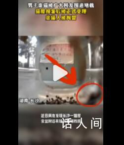 男子虐貓后將殘肢丟至直播間 嫌疑人最終被拘留