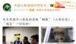 熊貓福寶疑被戳引網(wǎng)友不滿 官方回應(yīng)福寶被人不戴手套戳