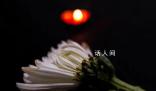 在殯儀館當遺體接抬工看到人間百態 習慣了世俗偏見工資其實不高但穩定