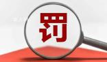 一90后被證監會罰沒2.7億元 獲利共9027.51萬元