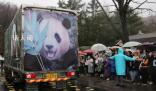 韓國粉絲送別福寶泣不成聲 不少游客已經在雨中排起長隊