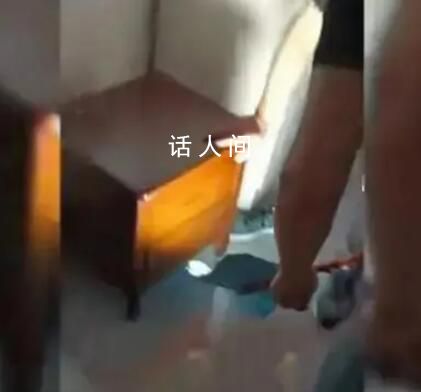 提燈定損怎么回事 網上說的提燈定損什么意思