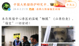 官方回應福寶被人不戴手套戳頭 必要檢查一切安好