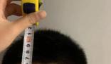 浙江一男孩小學就長到1米91 成了小學校園里的第一身高