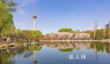 “春日經濟”熱力十足 人們開始計劃踏青賞花的旅游活動