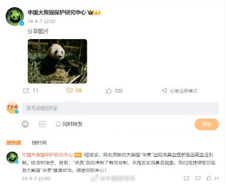 保護中心回應大熊貓華美流鼻血 目前已有效控制