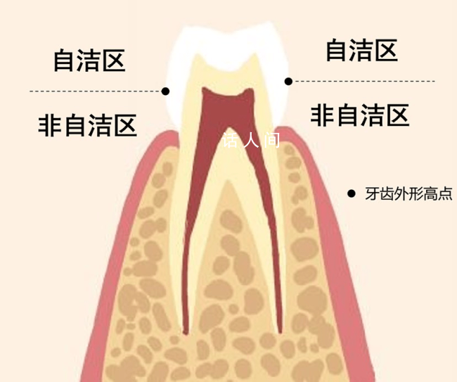 刷牙最該刷的其實不是牙齒 你真的會刷牙嗎？