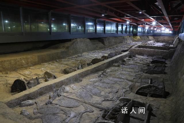 景區下架楚國王族免費活動 此政策發布后引發網友討論