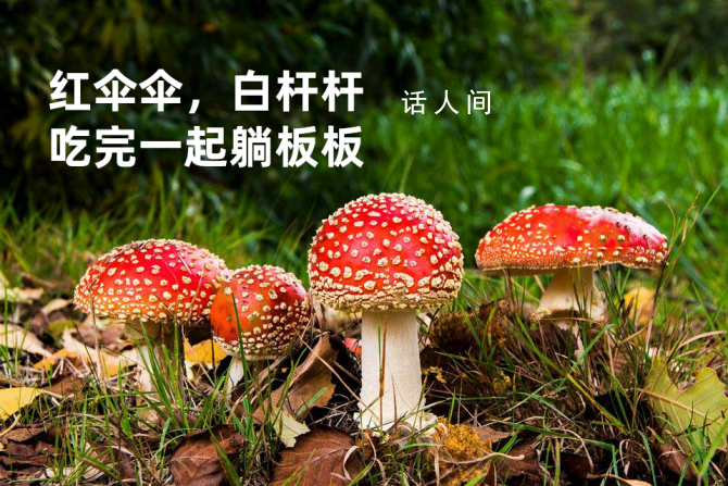 紅傘傘白桿桿是什么梗 紅傘傘白桿桿是什么意思