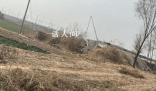 殺人埋尸的3名未成年最高判什么刑 最高可被判處無期徒刑