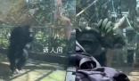 大猩猩疑被游客挑釁怒撞玻璃 很多游客沒有素質(zhì)以后會加強(qiáng)安保和多貼標(biāo)語