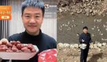 “反詐老陳”直播帶貨 銷售額達10萬