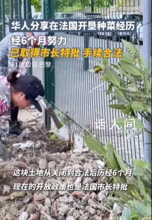 法國荒地被中國人開墾成菜園 曾經的荒地成為了小鎮上的一道亮麗風景線