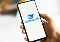 DeepSeek如何一夜“破圈” 專家：對美股泡沫沖擊大