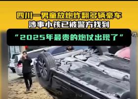 扔鞭炮男孩家屬追責九部門?假