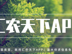 誰說北方地區不能發展珍貴樹種？強烈推薦這18個樹種！